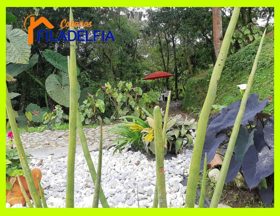 Cabanas Filadelfia Santa Rosa de Cabal Zewnętrze zdjęcie