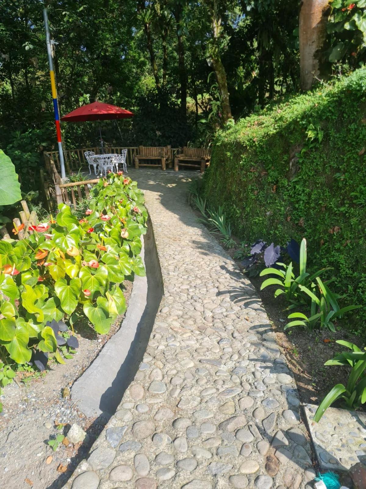 Cabanas Filadelfia Santa Rosa de Cabal Zewnętrze zdjęcie